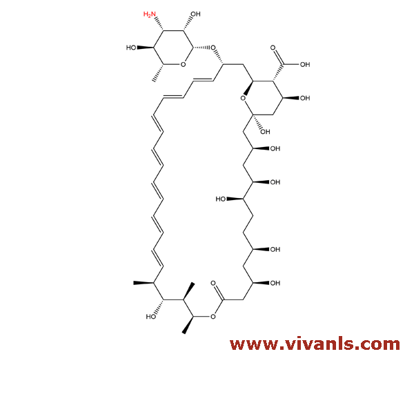 Standards-Amphotericin B-1661415039.png